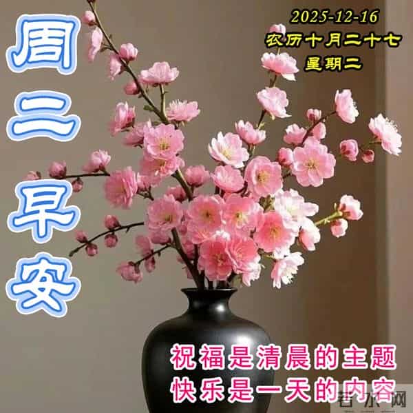 周二早安美图-一个问候，快乐启航，一个祝福，心情舒畅