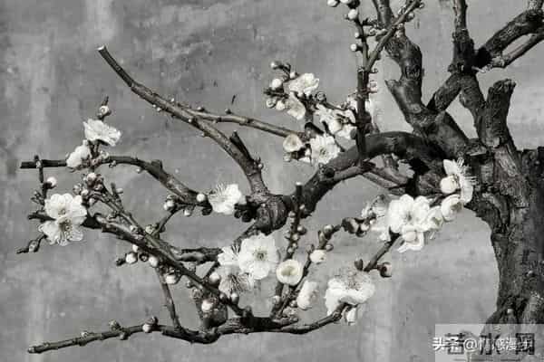 年过60,异性主动靠近不是桃花运,而是藏在岁月里的现实真相