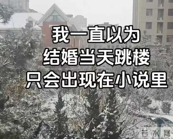 她至死都在道歉,可她的家人,却在她死后,做法太伤人了!