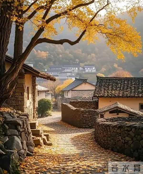 为什么借钱的人,总是不愿意还钱