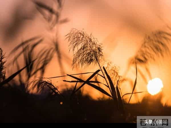 当你老了，和兄弟姐妹断交了，就会明白这3个扎心的真相