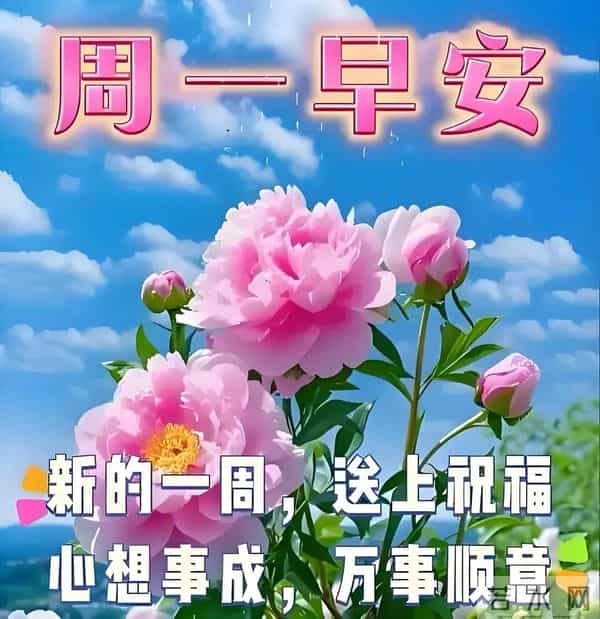 周一早安高级感拉满、13段精致文案+精选美图，祝福不敷衍