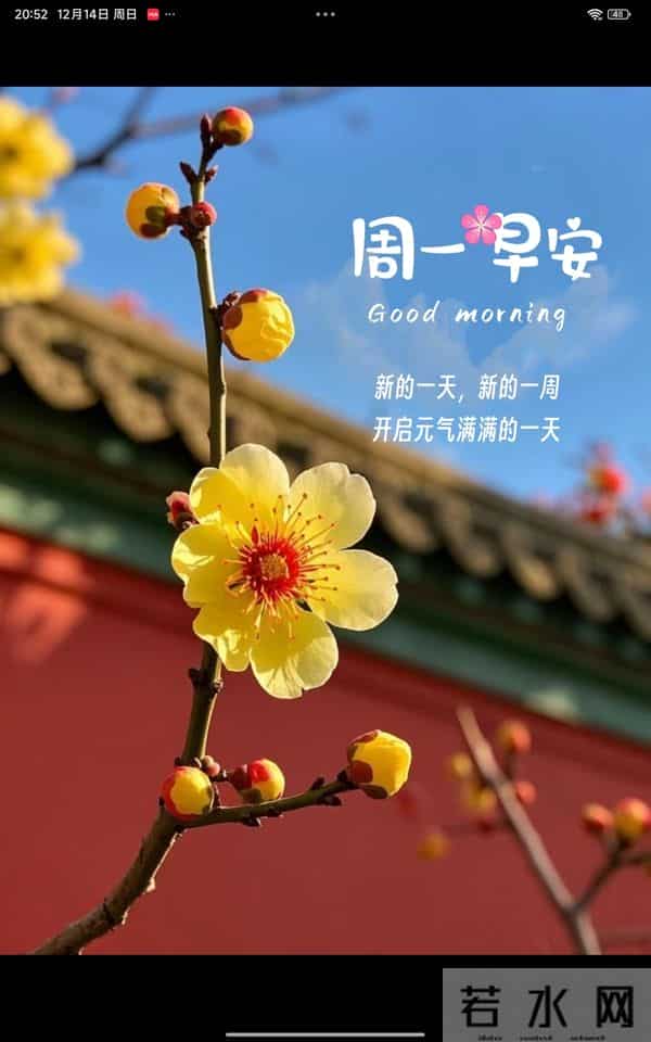 2025.12.15 冬天周一早上好!最新精美周一早安愉快温馨祝福图片