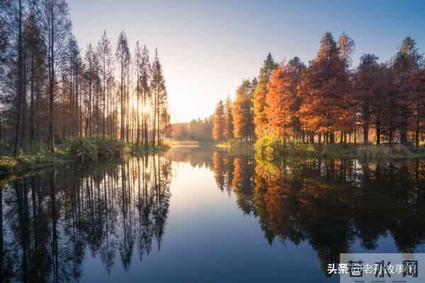 夫妻过了五十岁，最忌讳做这三件事，否则婚姻必然走向尽头