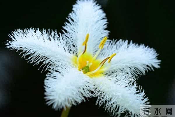 93岁母亲熬走了老大老二才明白,老人超过一定年龄要守住三个原则