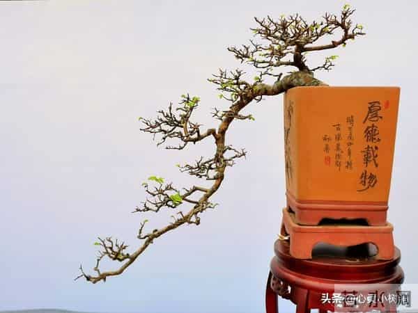 从玄学上而言：一个人的福报是有限的，不可享尽，无苦便是无福