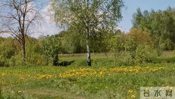 阿紫活得很慢，却很有力量？阿紫不教人修炼，只让人回到真实？