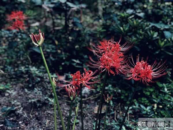 命里注定的这四件事,千万不能不信!