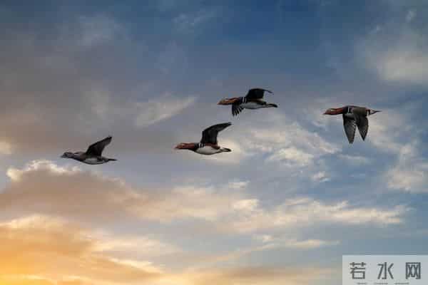 老了才明白：兄弟姐妹处成仇人，多半是因为这张嘴惹的祸