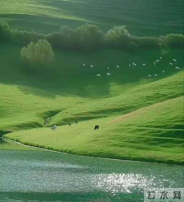 丧偶让我们跌入深渊，从此命运被划成前世与今生