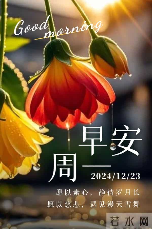 2025.12.15 冬天周一早上好!最新精美周一早安愉快温馨祝福图片
