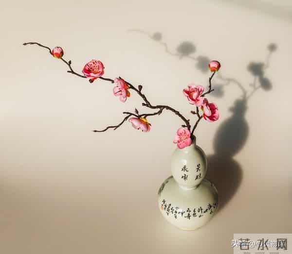 离婚当天，老公提出再同居一晚，女人：结婚八年，他却如此陌生