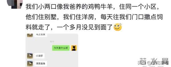 家里的公婆有边界感是一种什么体验？