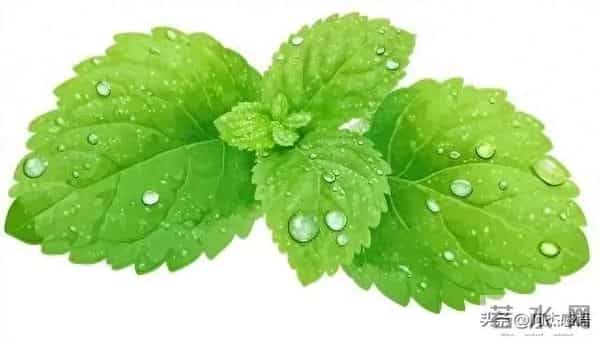 两性关系，女人可以搂着睡，亲她的嘴，但千万别全信她说的话