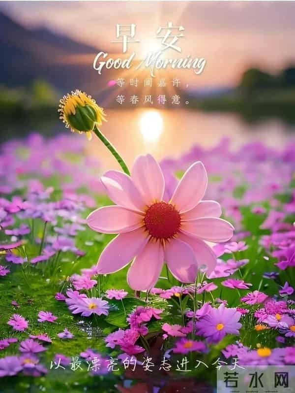 12月15日早上好 早上好温馨问候图片 早安图片最新今天 早安吉祥