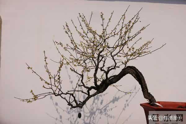 年过60,异性主动靠近不是桃花运,而是藏在岁月里的现实真相