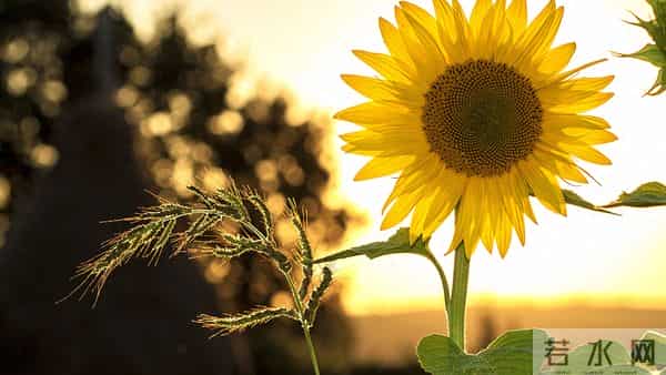 12月16日，星期二，亥猪，即将有事发生