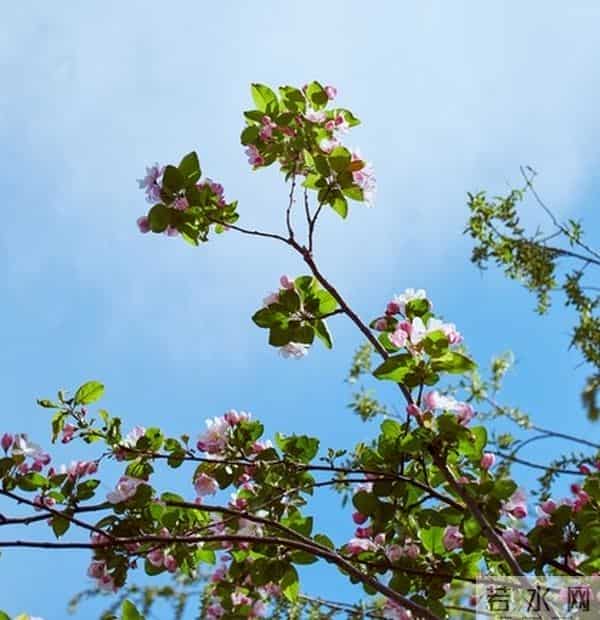 白羊座：12月下旬将迎来“九星报喜”的吉兆