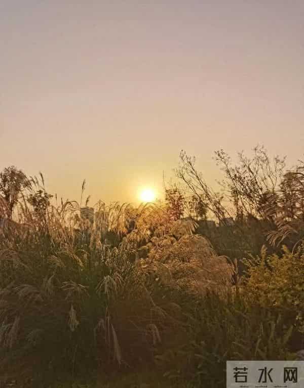 女人老牛吃嫩草是什么感觉？几位女人说了心里话，男人得听听！