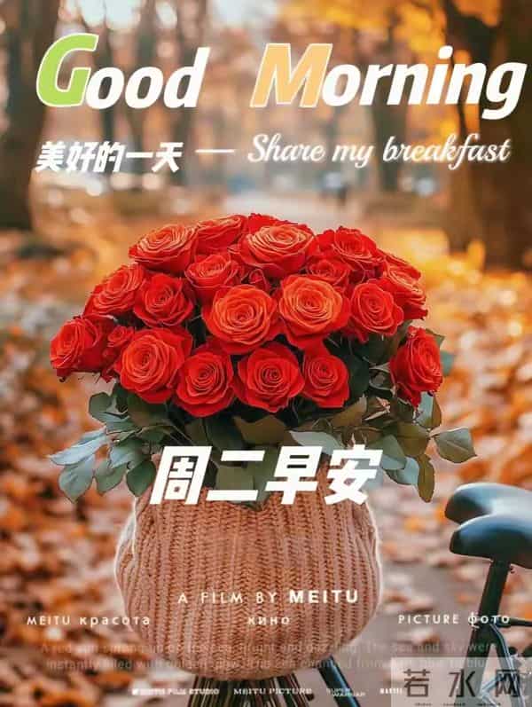 2025.12.16 冬天周二早安愉快！最新精美周二早上好温馨祝福语图片