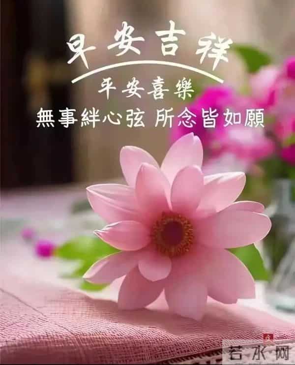 2025.12.15今日十月廿六——早上好，周一祝福问候语，早安图片