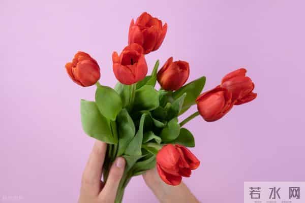 婚姻是张硬纸——厉害的婆婆（9）