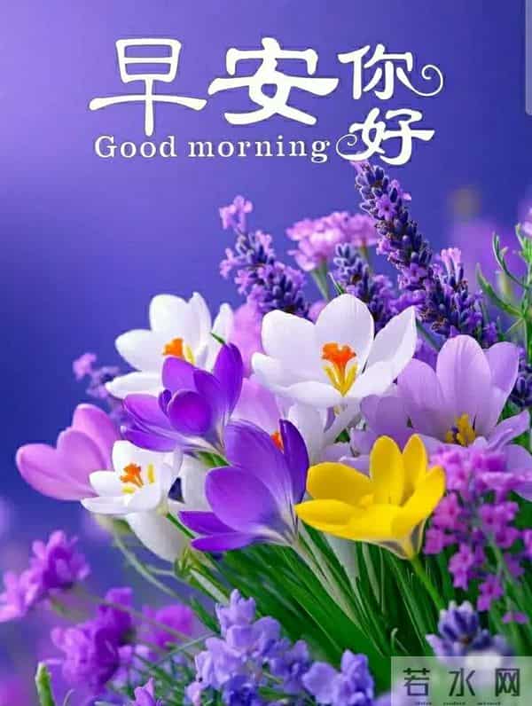 早上好早安祝福美图-冬藏福气，岁有余庆