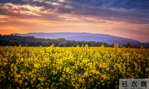 儿媳好不好,从这3件事就能评判,全中的那就真有福了