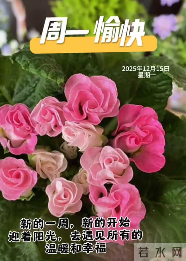 2025年12月15日周一早安 早上好图片最新今天 温馨淡雅的早安图片