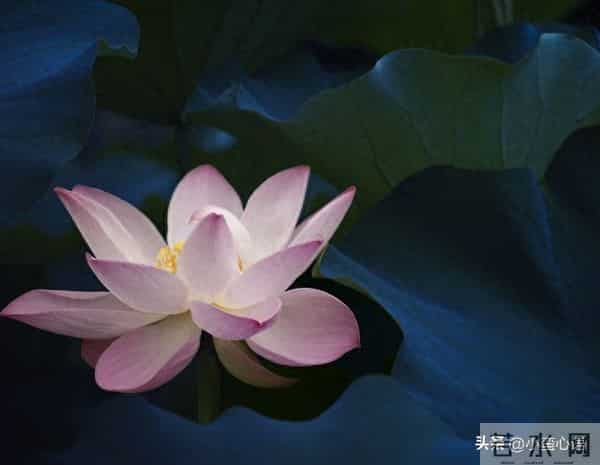 两性警示：如果还想多活几年，65岁以后必须牢记这6句话