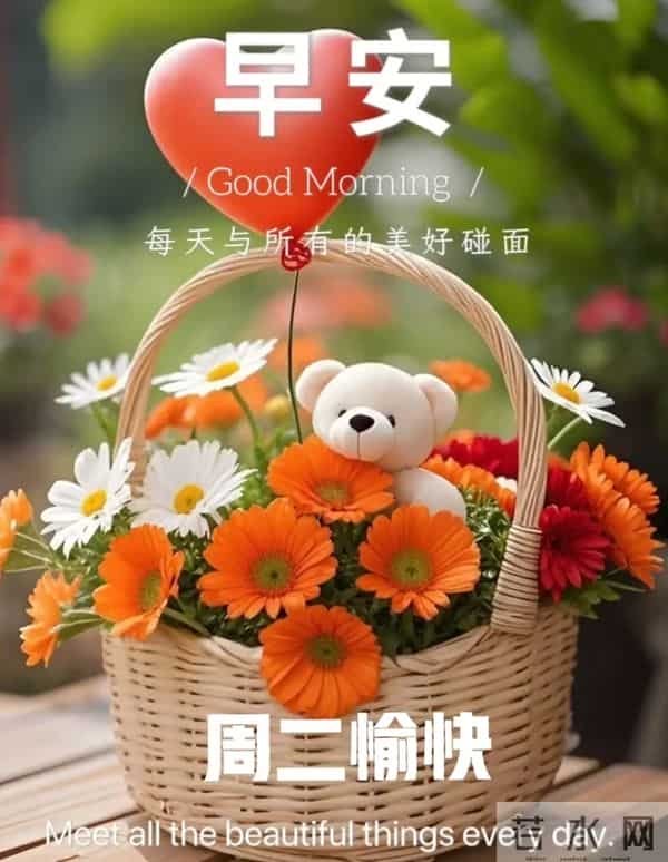 2025年12月16日周二｜晨间回暖：在平凡节奏里听见自己的心跳声