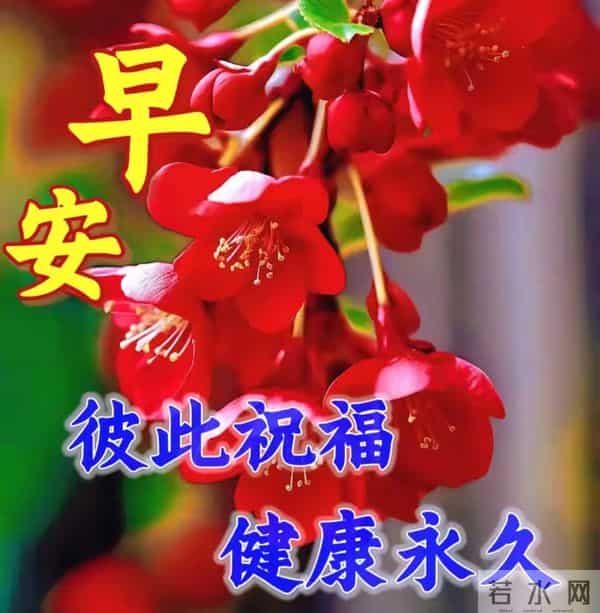 2025年12月15日早上好 ！周一愉快 早安精美美图温馨祝福语 早上好！