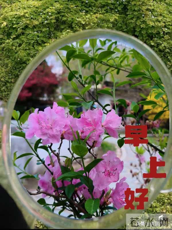 2025.12.15号周一早安祝福美图