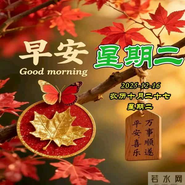 周二早安美图-一字一句总关情，一朝一夕皆圆满。