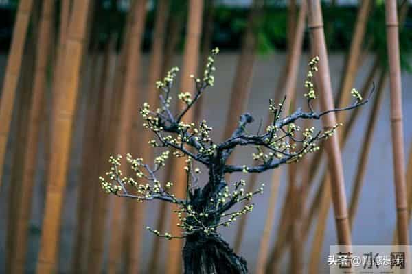 年过60,异性主动靠近不是桃花运,而是藏在岁月里的现实真相