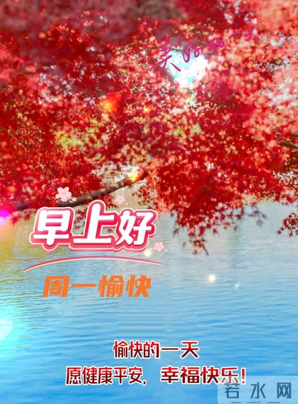 2025年12月15日周一早安 早上好图片最新今天 温馨淡雅的早安图片