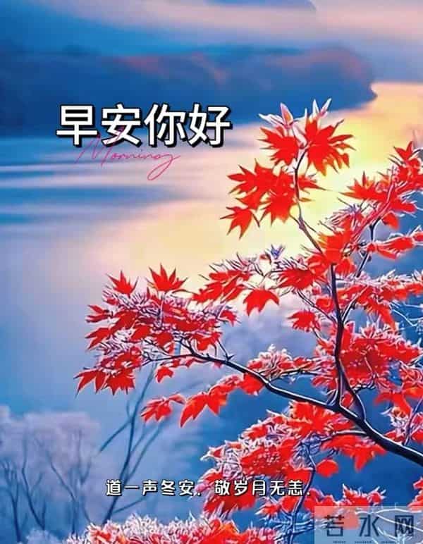 2025.12.16 冬天周二早安愉快！最新精美周二早上好温馨祝福语图片