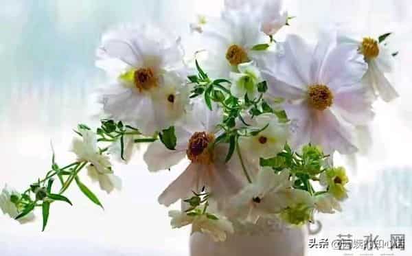 65岁后越活越幸福？两性关系牢记5句话