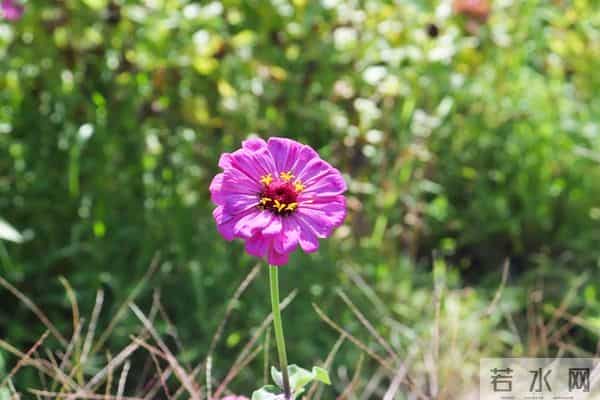 属蛇人12月渡劫期：16-18日离别将至，做好3件事迎新蜕变新生