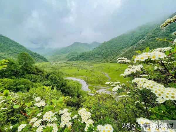 背叛者假性回归，会有三种表演！看穿别拆穿，做好3件事就赢了