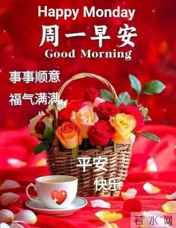 早安！新的一周，愿你的笑容比昨天更灿烂，生活比想象更美好！