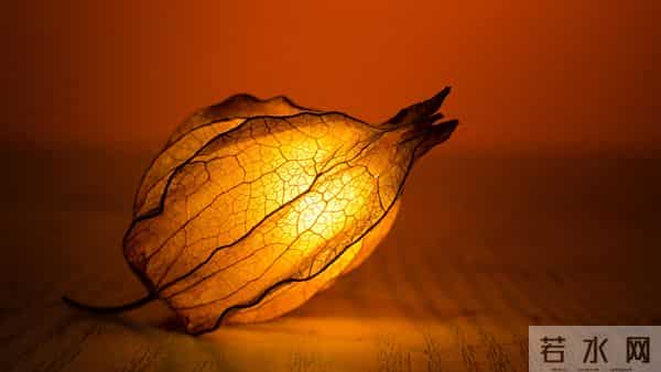 12月17日,星期三 ,双子座,有惊喜出现了!