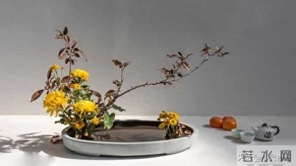 离婚当天，老公提出再同居一晚，女人：结婚八年，他却如此陌生