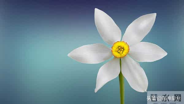 12月15日至12月21日，星期一，天秤座，就要惊喜降临！