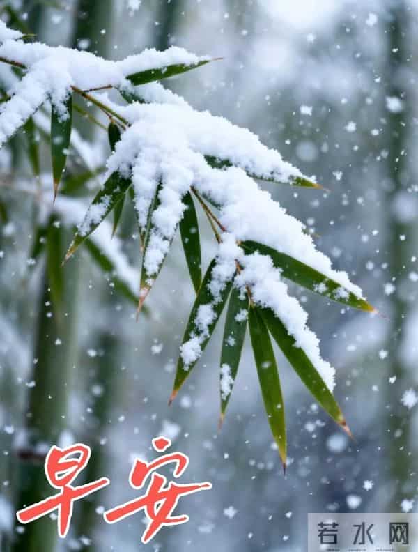 2025.12.15 冬天周一早安愉快！最新精美周一早上好温馨祝福语图片