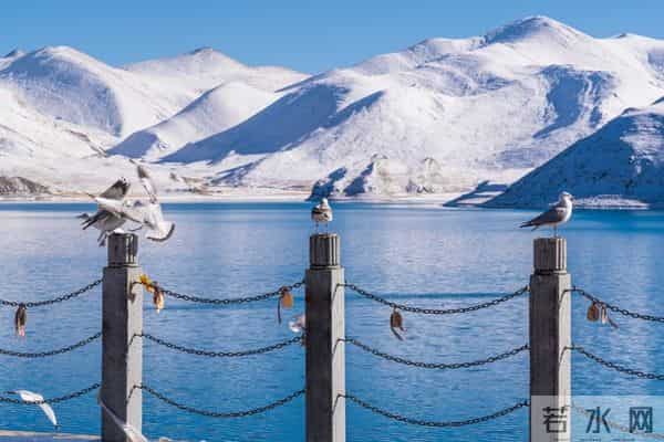 做人一定要带点匪气，5招教你！