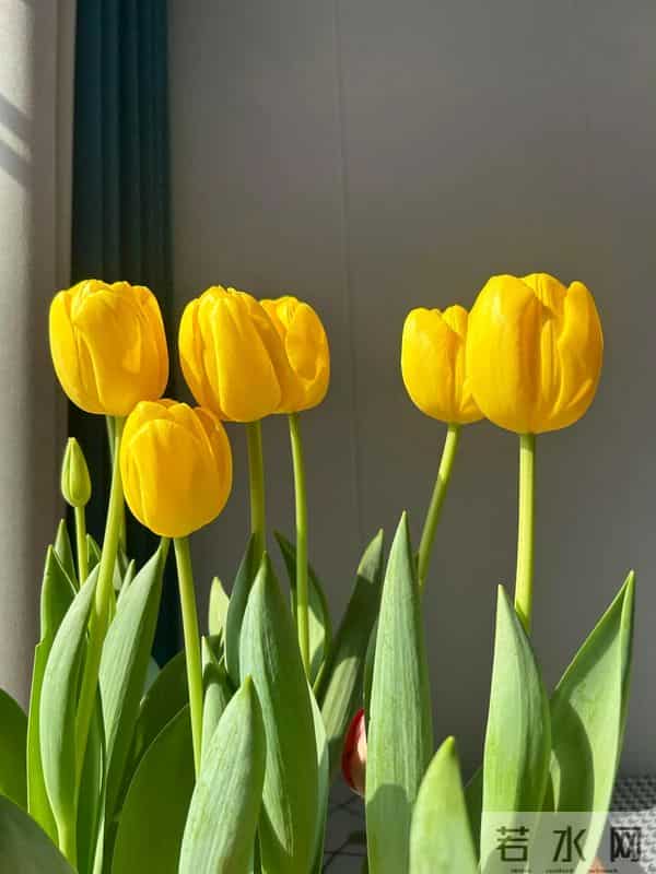 暧昧后男人突然疏远你？别慌，他可能是彻底爱上了