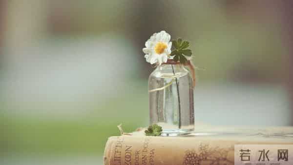 12月16号至12月19号，星期二，午马，有事发生了