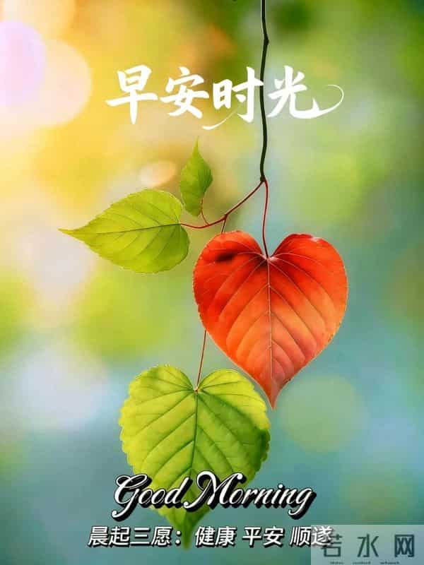 新周早安,朋友圈这样发,没有人不愿意看,愿烟火生活,日日如新