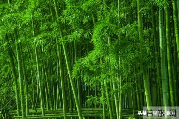 两性关系，男人没老婆，生活一地鸡毛，女人没男人，照样风生水起